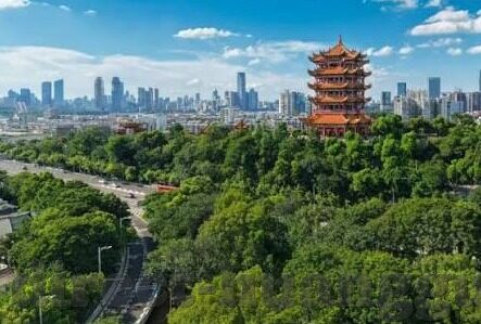 乐鱼体育有病毒吗-乐鱼体育的安全性与病毒感染风险解析